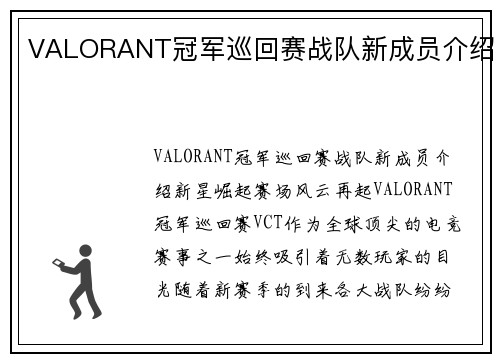 VALORANT冠军巡回赛战队新成员介绍