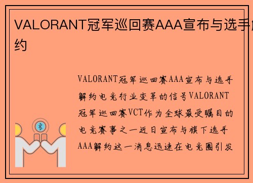 VALORANT冠军巡回赛AAA宣布与选手解约